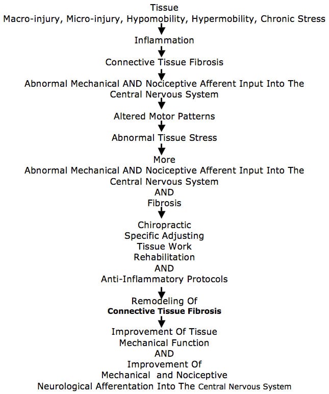 Model based upon article