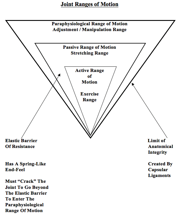 Joint ranges of motion