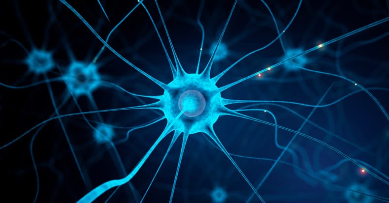 Can Damaged Nerves Regenerate?