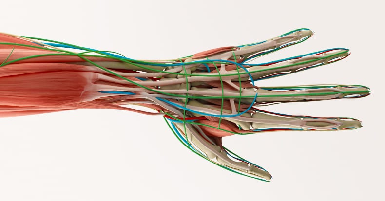 Carpal Tunnel Syndrome – How Do I Know If I Have It?