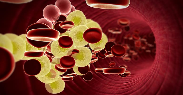 Which is Better: HIGH or LOW Cholesterol?