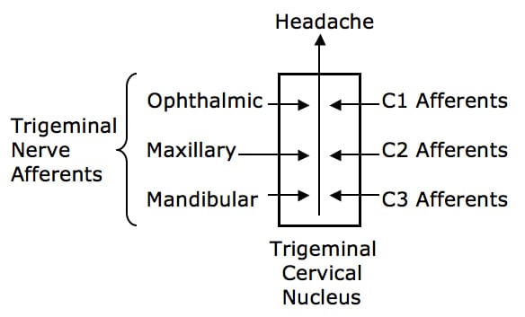 Cervicogenic Headache