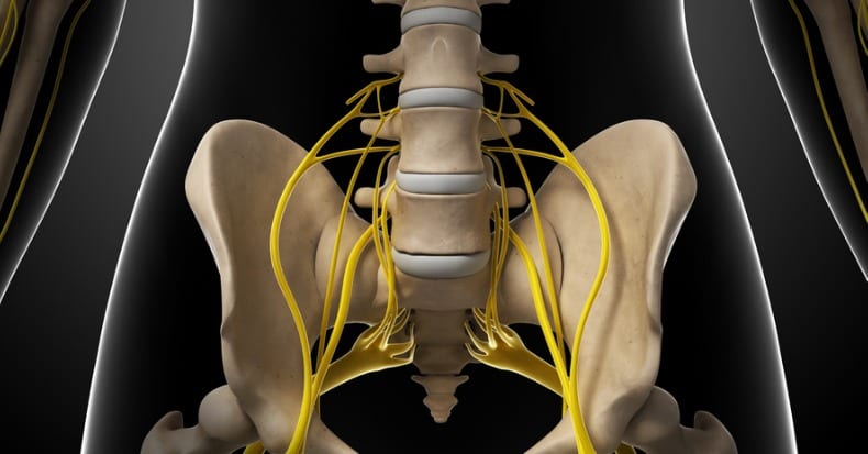 Nerve Flossing and Low Back Pain